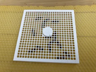 Queen Bee Introduction Cage (Bee Replacement Cage)