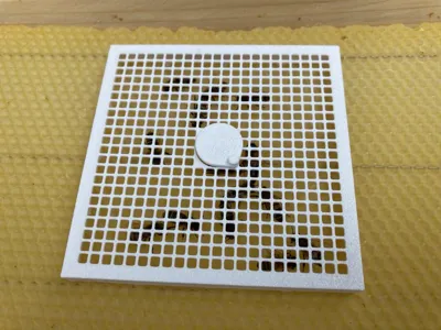 Queen Bee Introduction Cage (Bee Replacement Cage)
