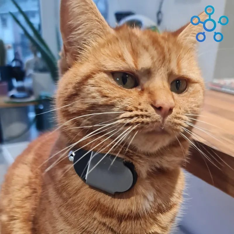 SmartTag2 Cat Collar Holder