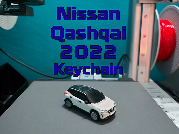 Nissan Qashqai 2022 Keychain (PIP WW)
