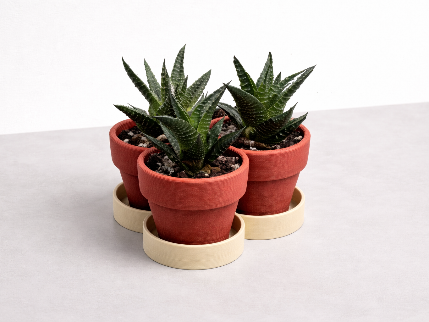 Giant Tripple Plant Pot