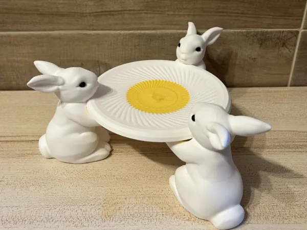 https://makerworld.bblmw.com/makerworld/model/USaa3955a0a2f2df/design/8be3d09947f9a7e5.png
