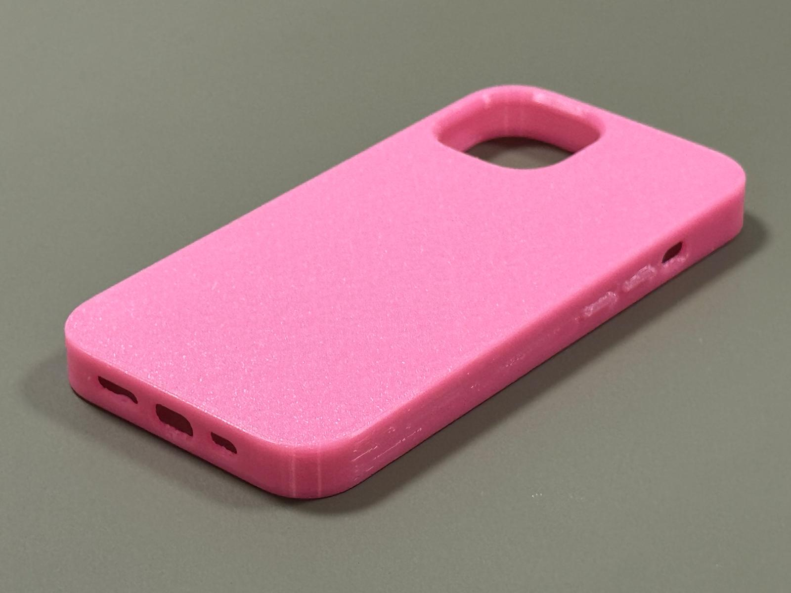 iPhone 13 case "The Bodyguard"