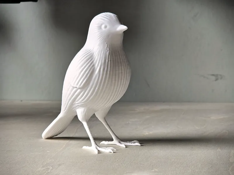 Nordic Ribbed Bird