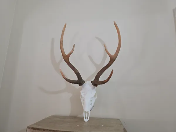 https://makerworld.bblmw.com/makerworld/model/USaa49fa7af1a426/design/2025-12-06_6ca248b347a1d8.jpg
