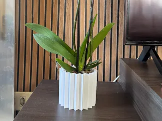 orchid pot