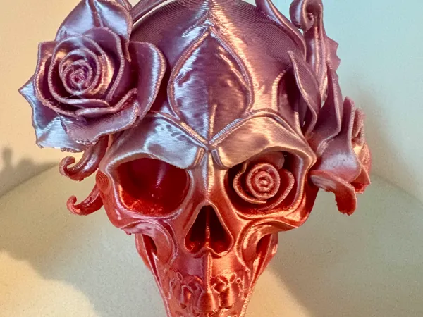 https://makerworld.bblmw.com/makerworld/model/USaa506b5958b4ee/design/2025-09-03_29d20198ae16d8.jpg