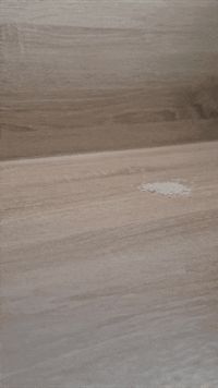 Feger_ Sauger 0.2mm layer, 3 walls, 15% infill
