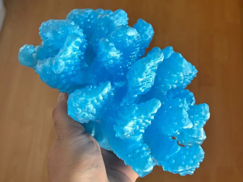 Sea coral