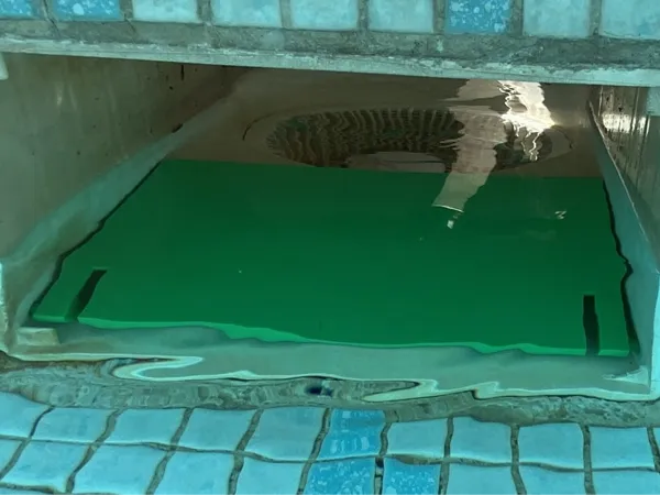 Volet de skimmer pour piscine enterrée Jacuzzi
