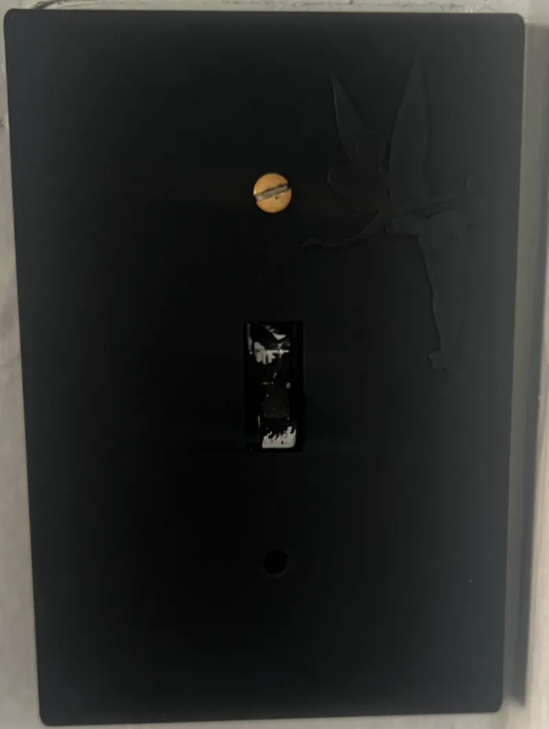Light switch cover