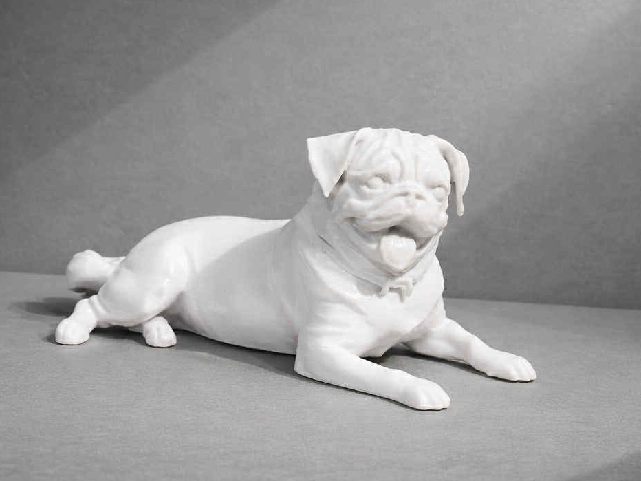 Lying Pug Dog - Animal 