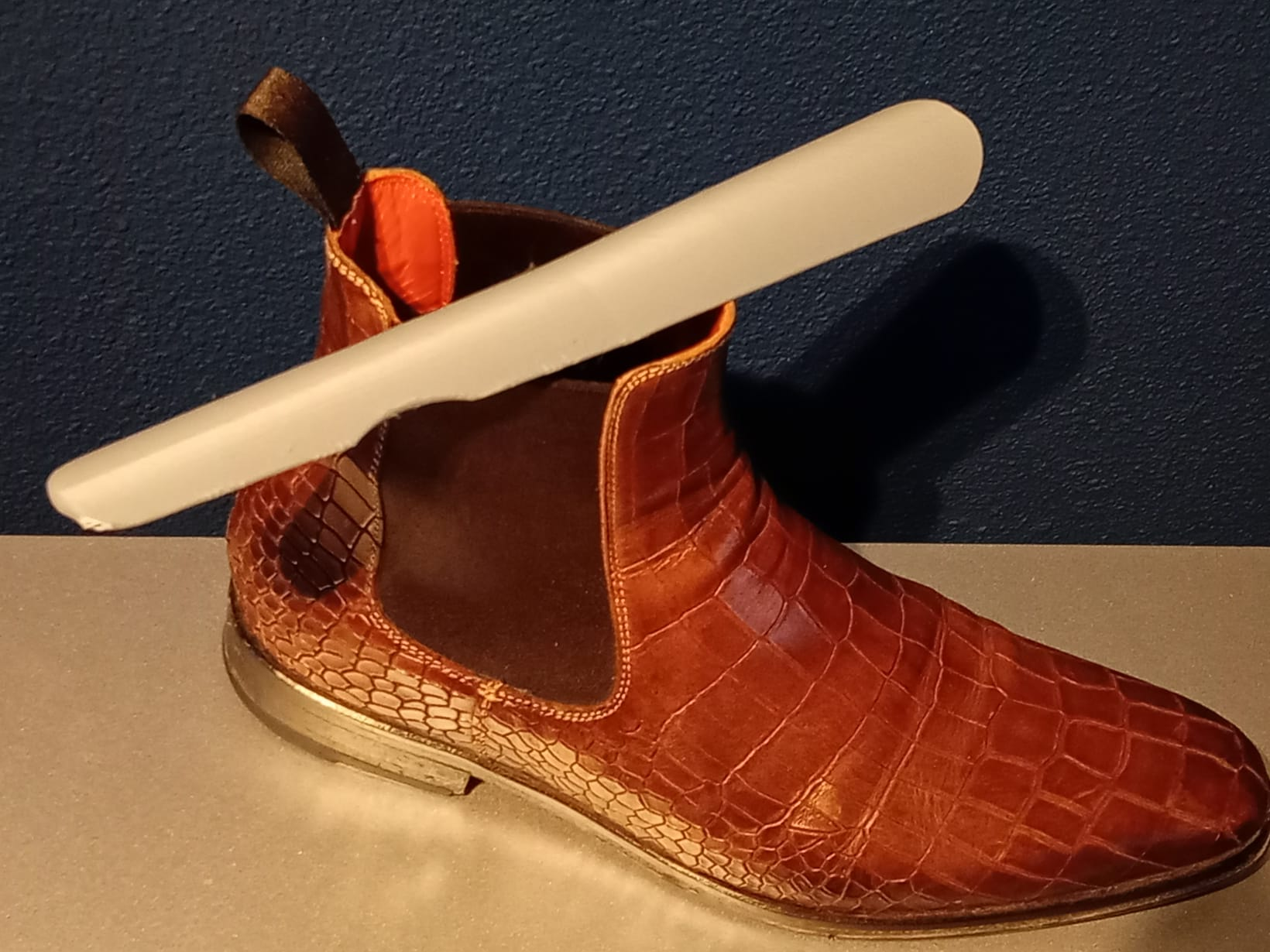 Shoe Horn (25cm)