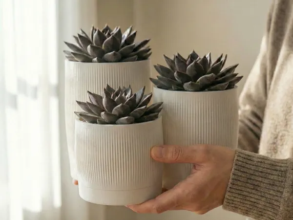 Azet — trio de jardinières côtelées