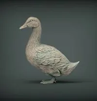 Single color