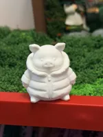 猪猪羽绒服