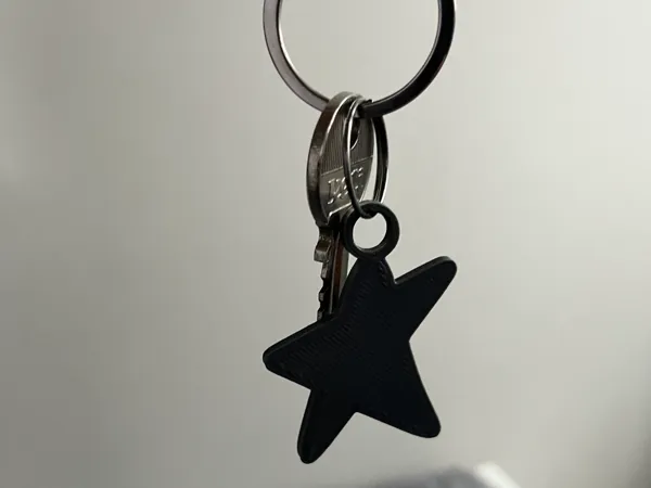 https://makerworld.bblmw.com/makerworld/model/USaa6f40954089a8/design/2025-03-31_110c704f7ac3e.jpeg