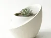 8cm size 5cm diameter