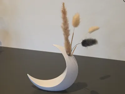 Crescent Vase – Decoration for Dried Flowers