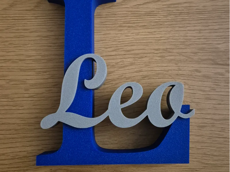 Schriftzug Leo