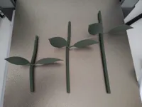 Longer stems – 2 lengths
