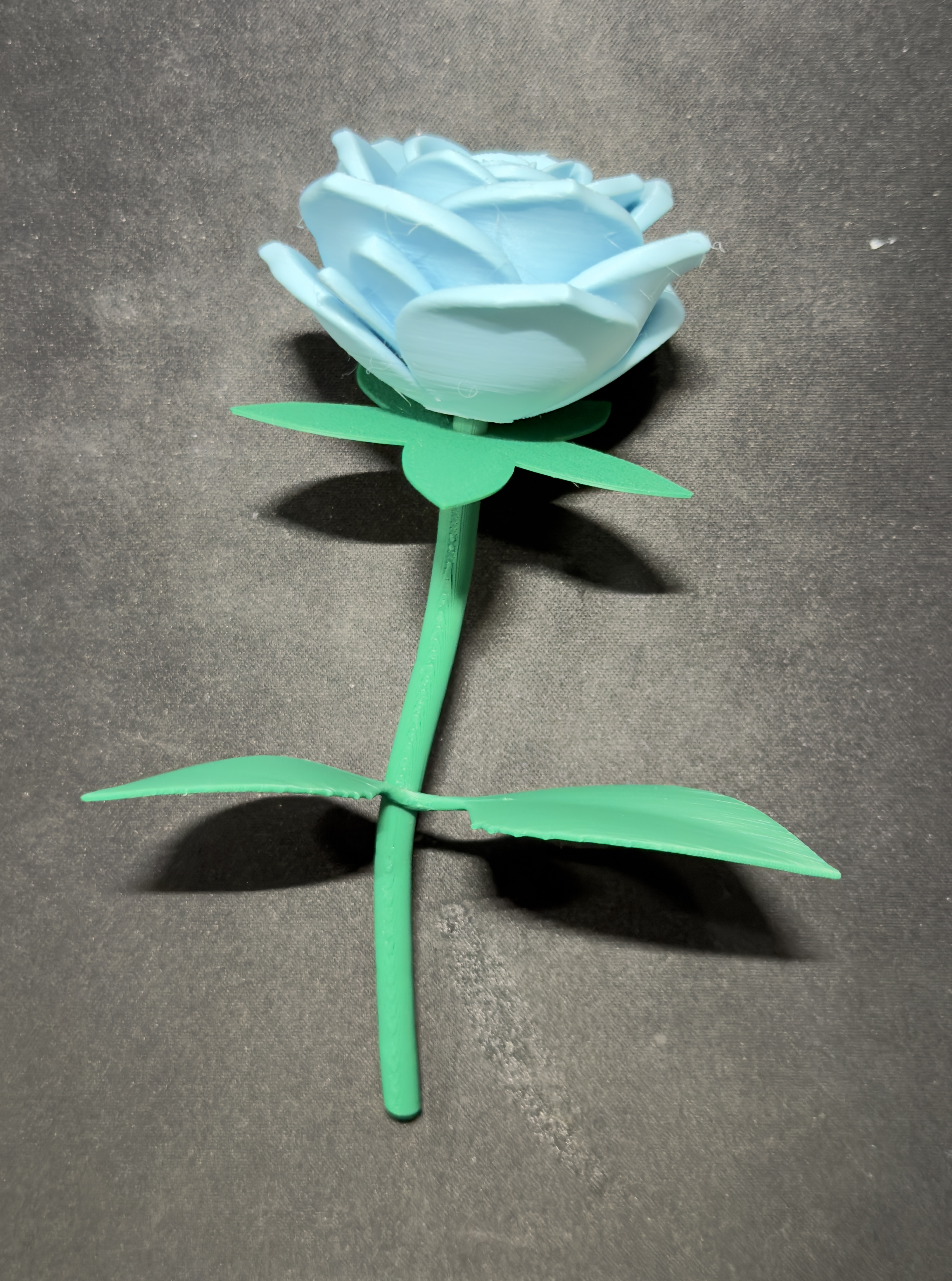 Miniatura 6 do modelo 3D Velvet Petal