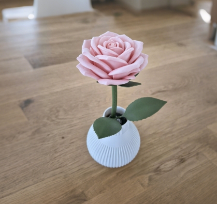 Miniatura 7 do modelo 3D Velvet Petal