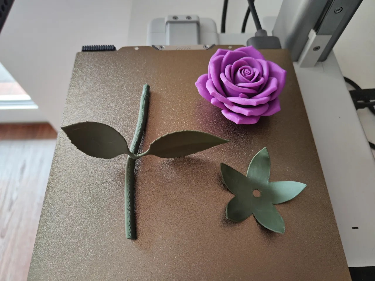 Velvet Petal view 3