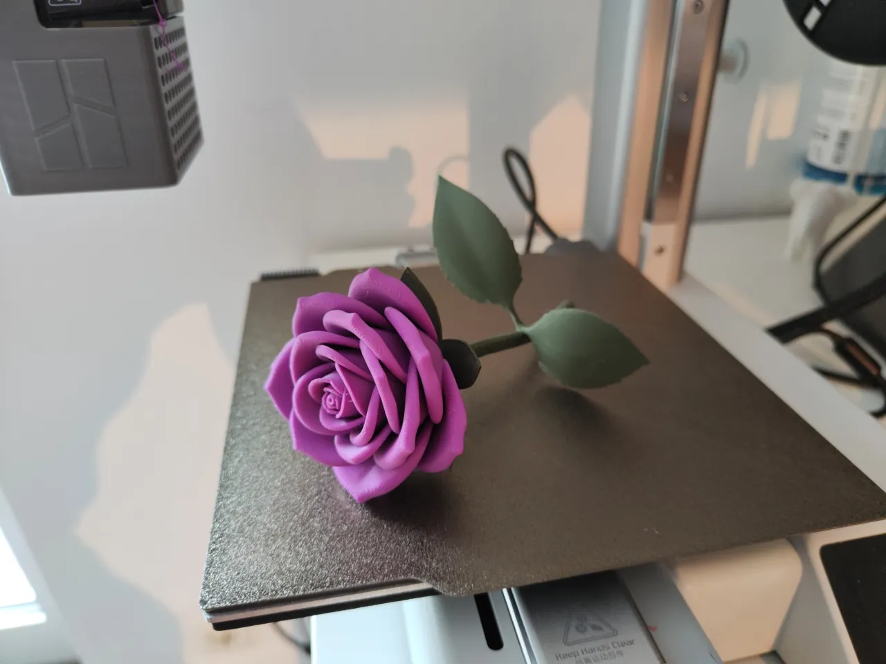 Velvet Petal view 2