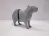 CAPY