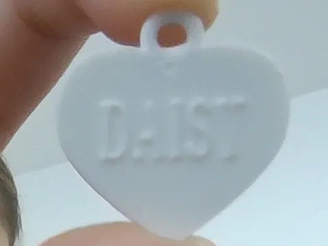 Pet Collar Name Tag