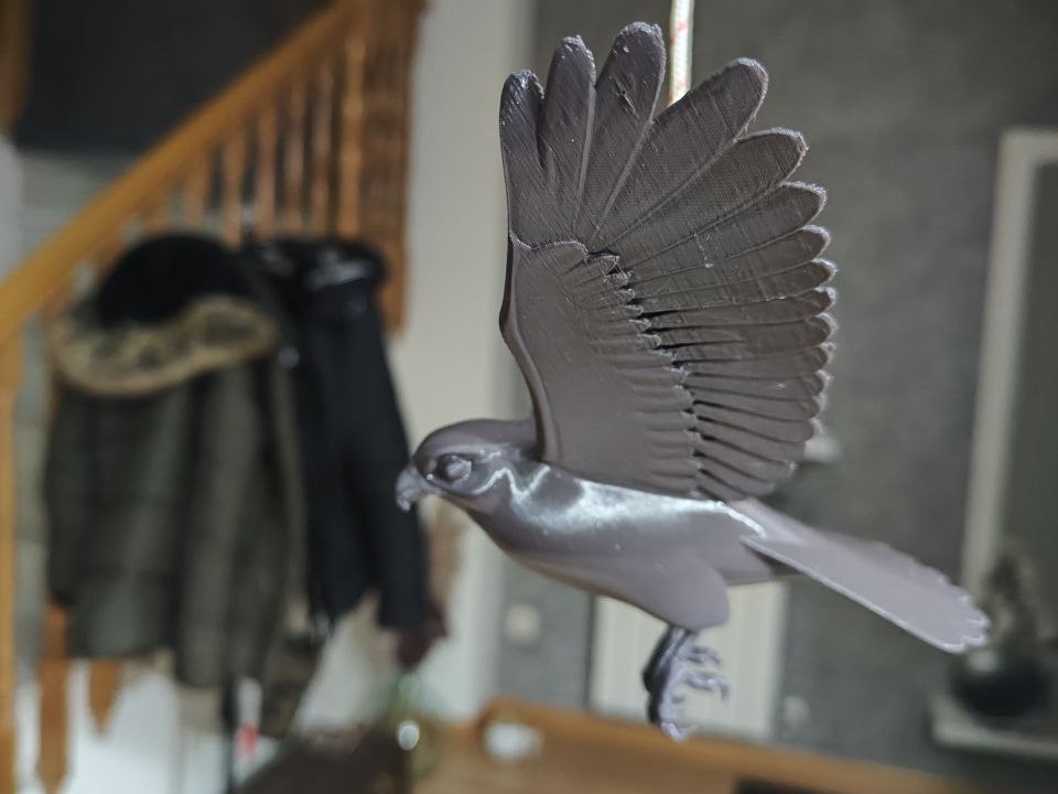 halcon espanta pajaros-scarecrow hawk