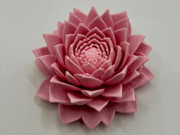 https://makerworld.bblmw.com/makerworld/model/USaa8baa7f6c7199/design/d7e079cd91e4fce3.jpeg