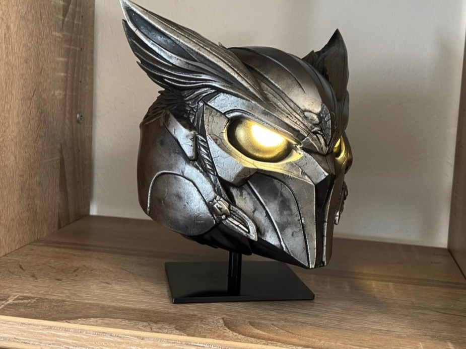 Owl helmet