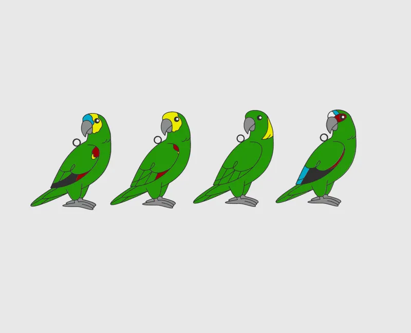 Amazon Parrot Keychains