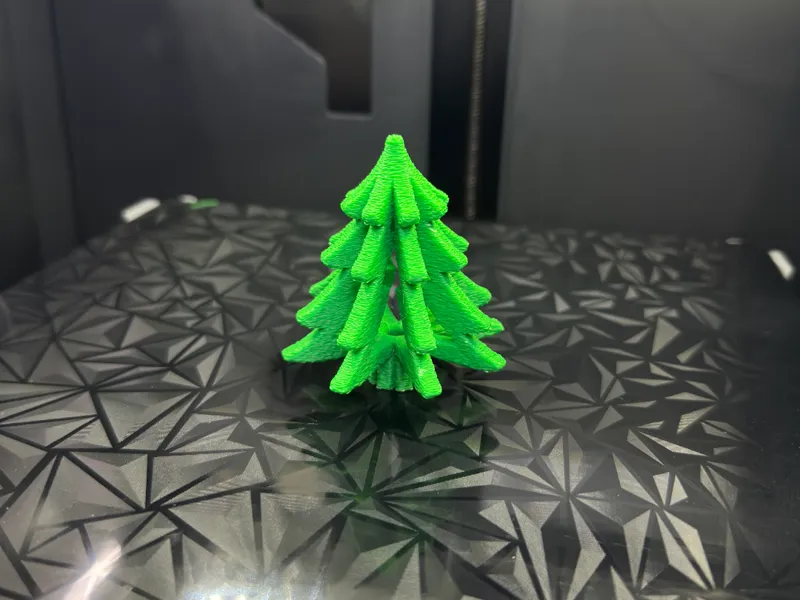 Coniferous Christmas tree