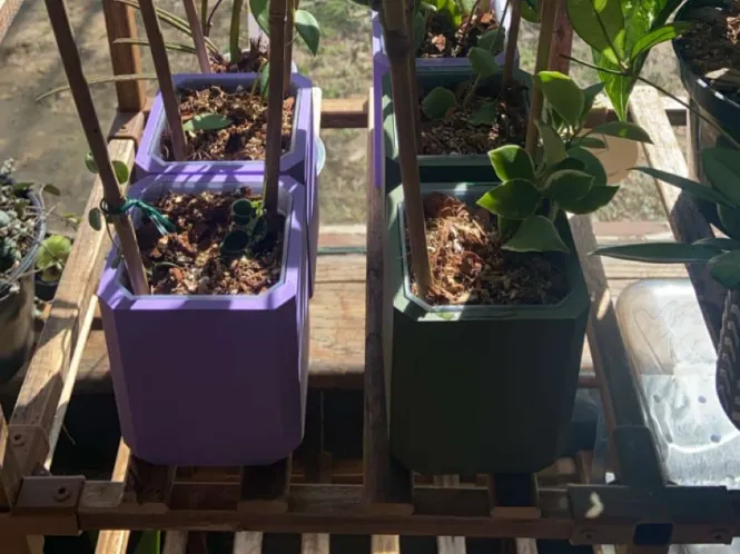 Modern-Simplistic Nursery Pot Holder
