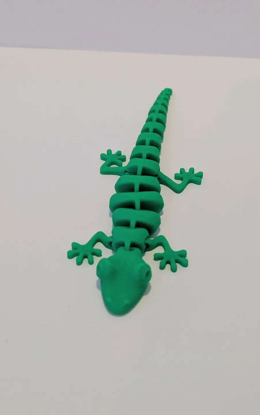 Lesser Gecko 26