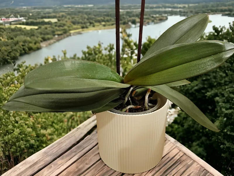 flower vase "Rigatoni"