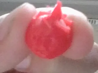 mini angry dumpling