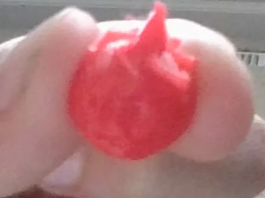 mini angry dumpling