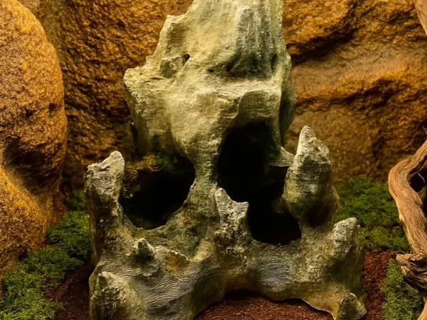 https://makerworld.bblmw.com/makerworld/model/USaaa8fc31dcfa66/design/2025-10-06_1e13161c2de1c8.jpg