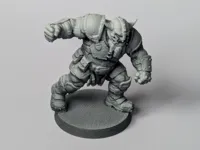 0.08mm layer, 2 walls, 15% infill