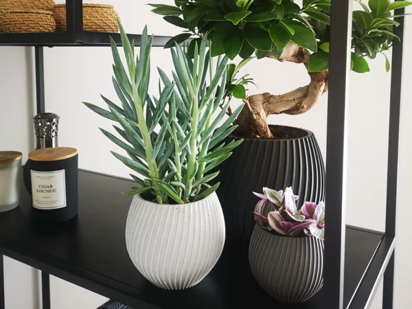 https://makerworld.bblmw.com/makerworld/model/USaaaefeefa23db3/design/2024-08-21_0888f9e9c04e1.jpg