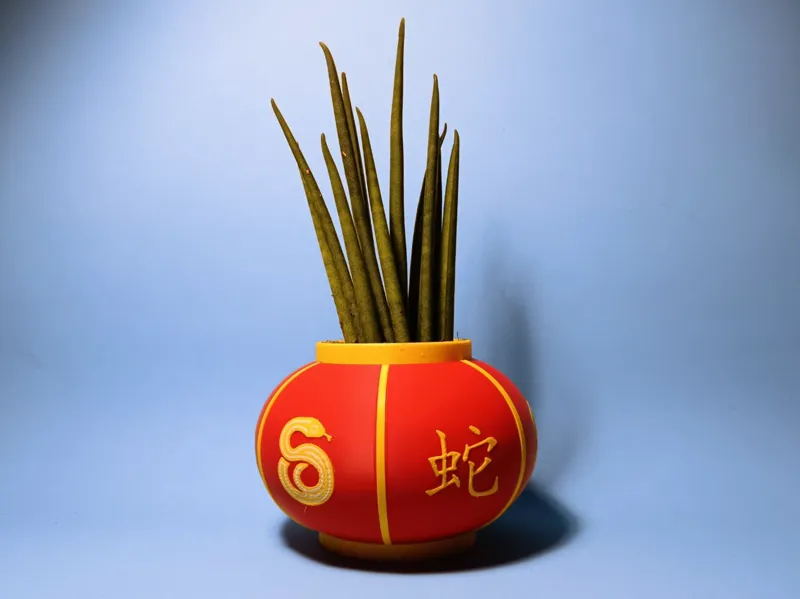 Year Of The Snake Lantern Plant Pot
