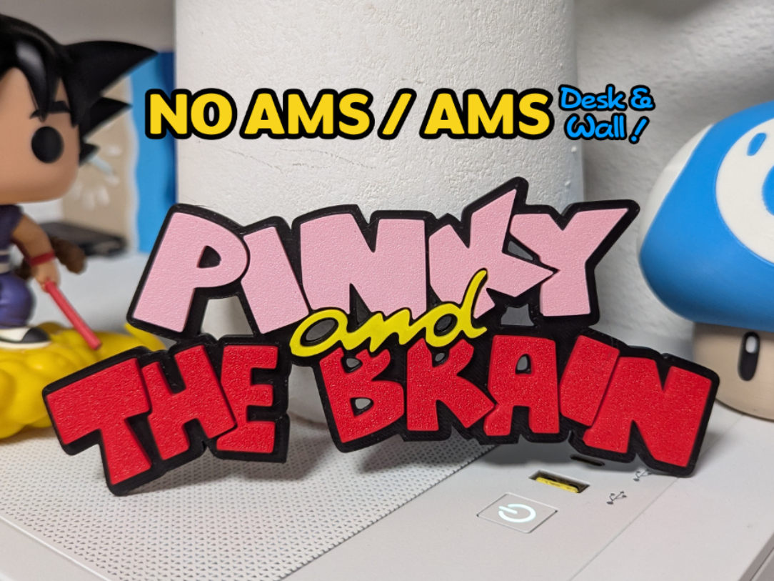 Pinky and The Brain logo (NO AMS/AMS)