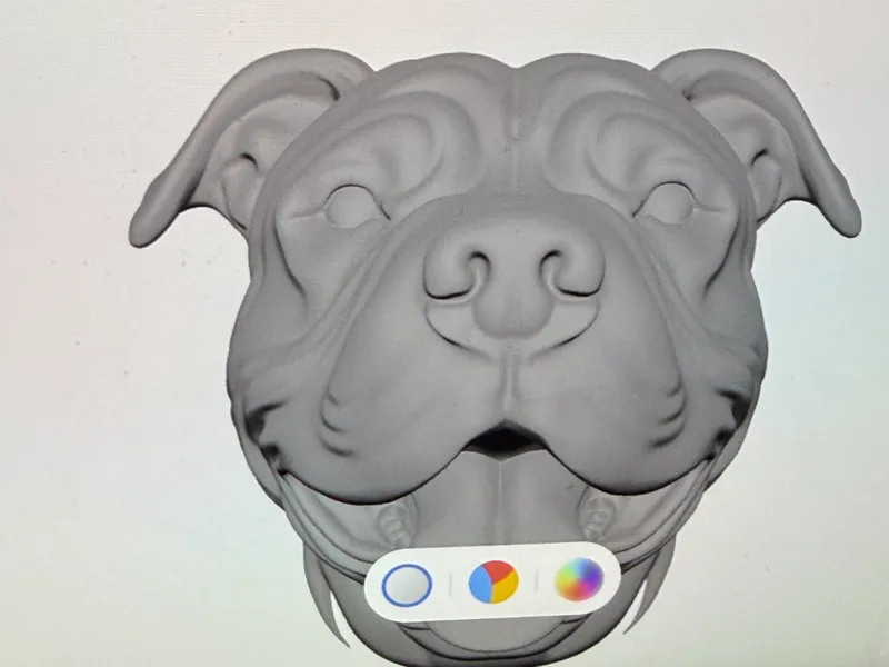 Pitbull head