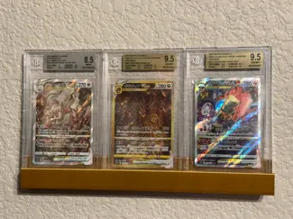 Card and Slab Shelf