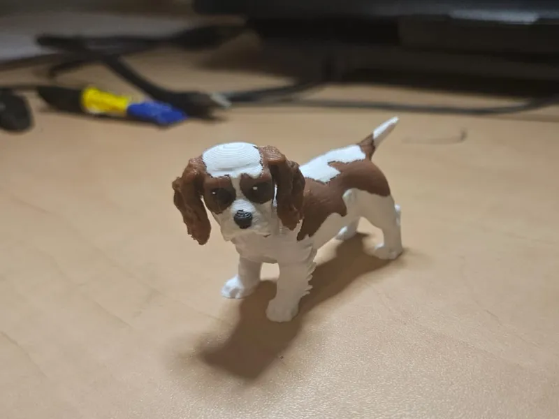 King Charles cavalier painted
