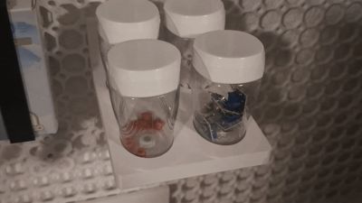 Multiboard chewing gum bottle Holder multiconnect 